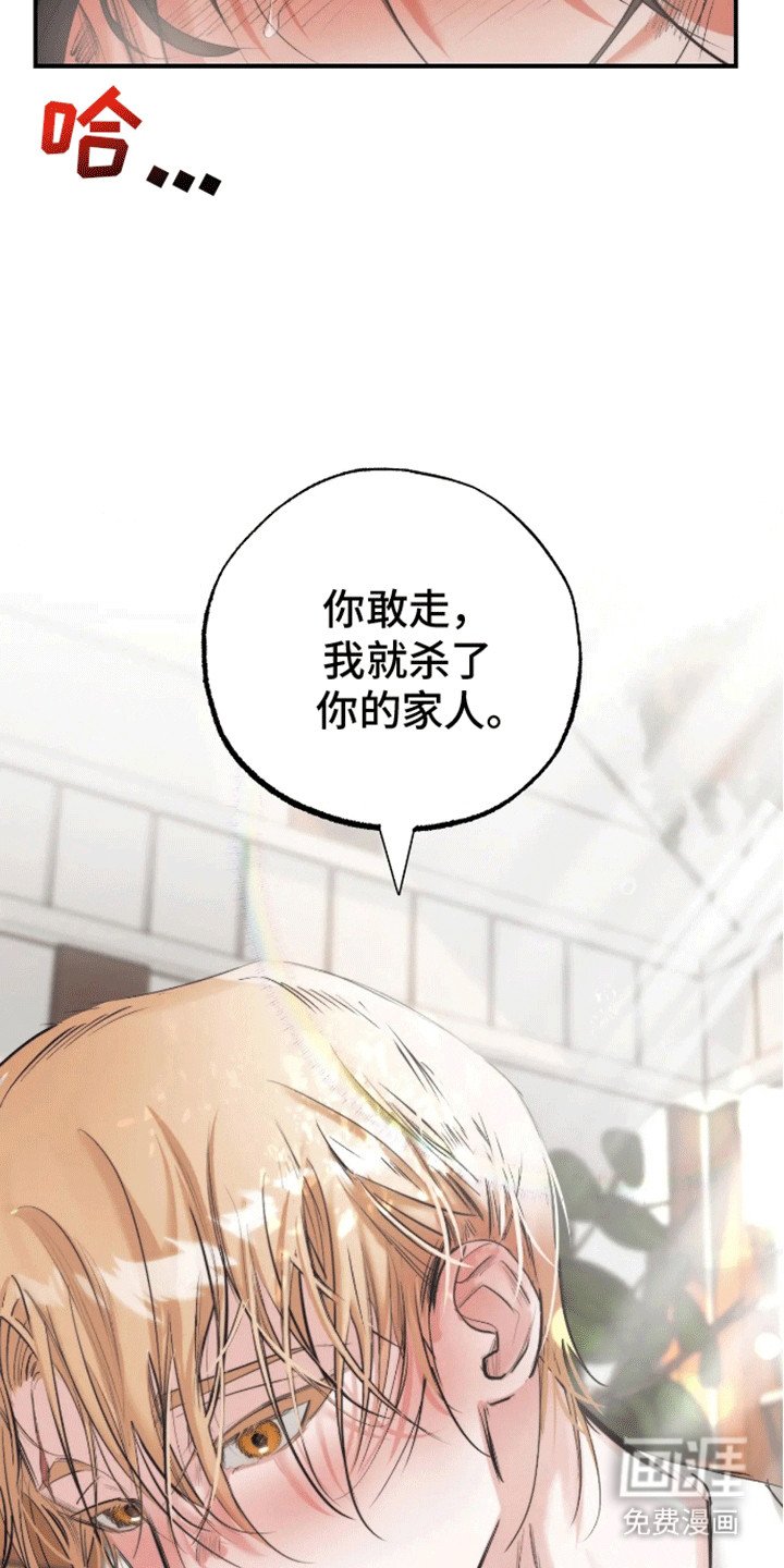 第1章：预告