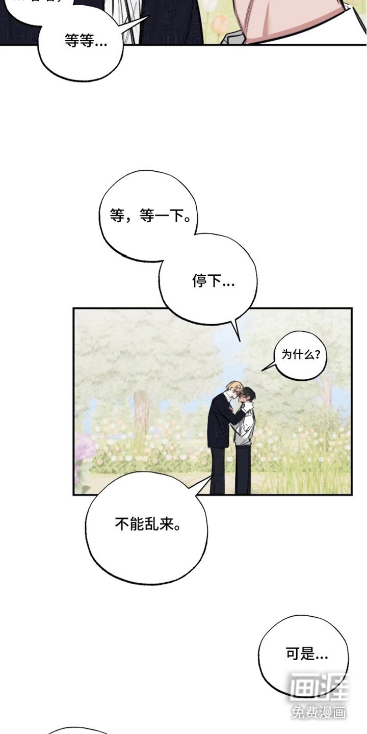 第12章：带回家