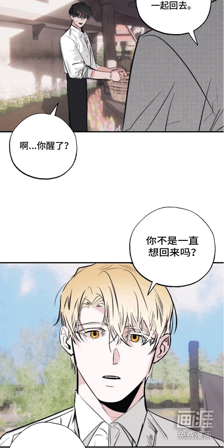 第14章：告白（完结）