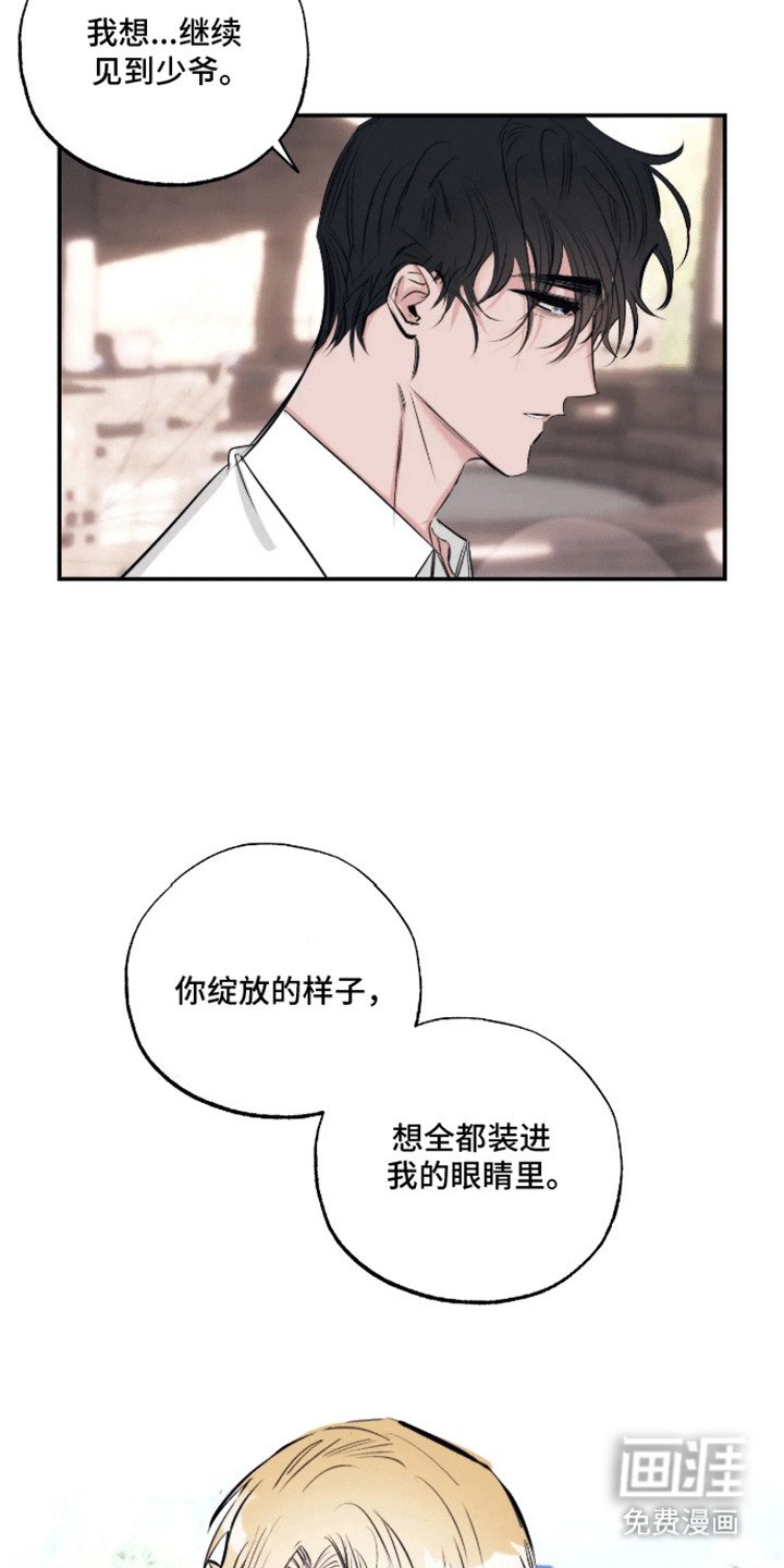 第14章：告白（完结）