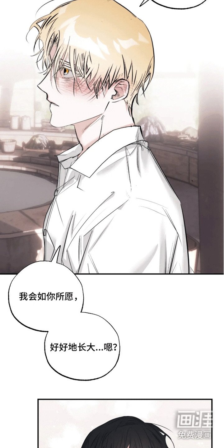 第14章：告白（完结）