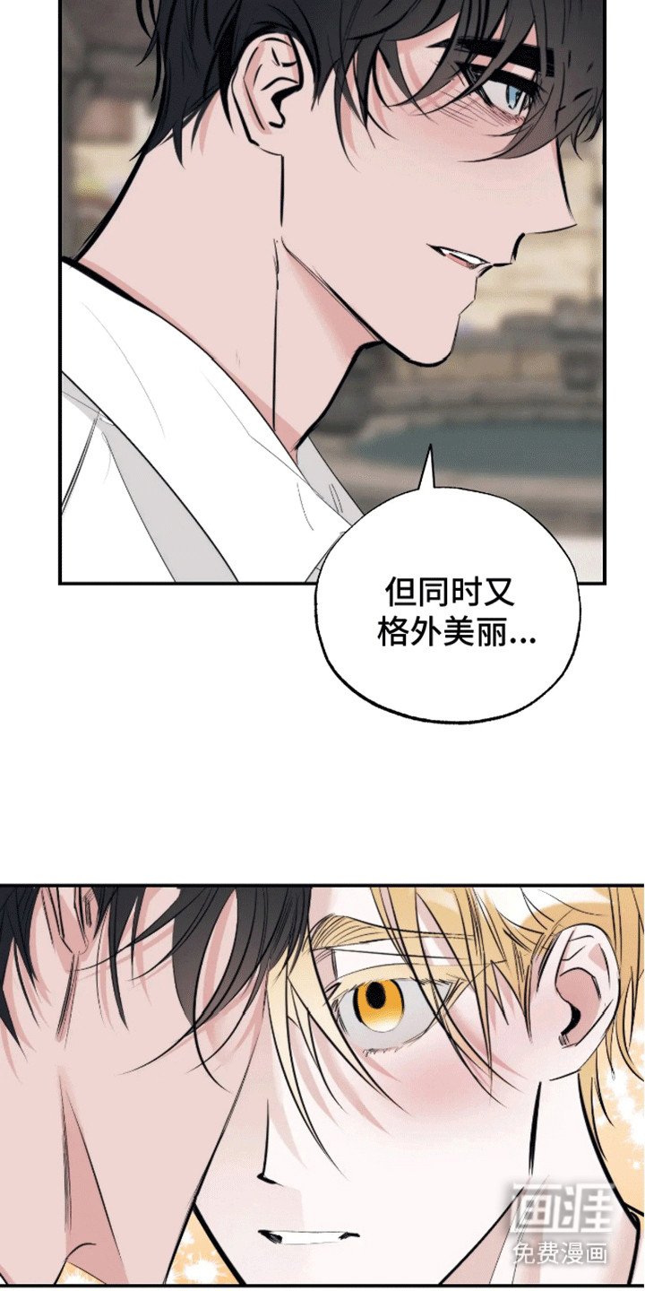 第14章：告白（完结）
