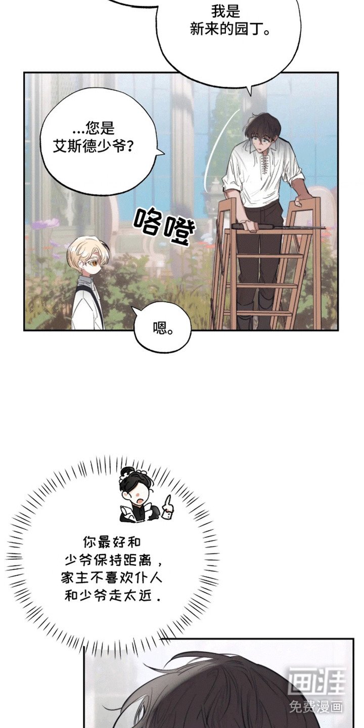 第2章：园丁