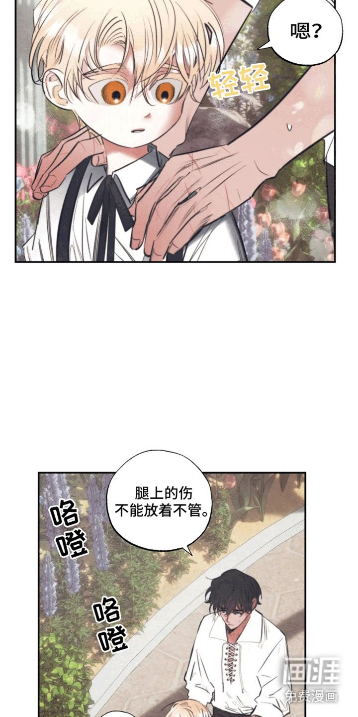 第2章：园丁