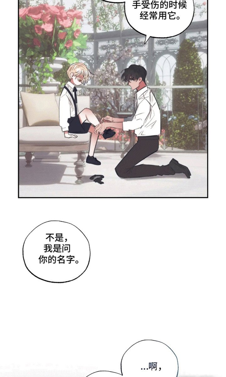 第2章：园丁