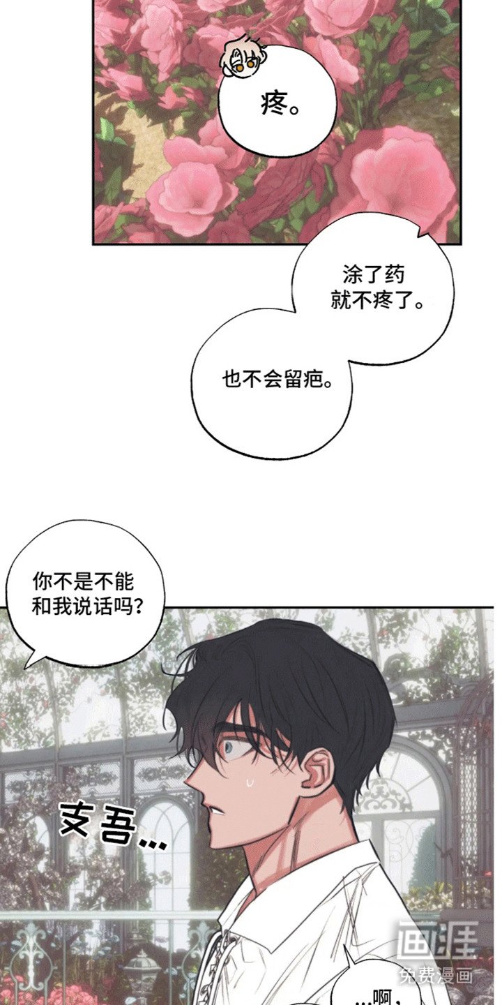 第3章：生日礼物