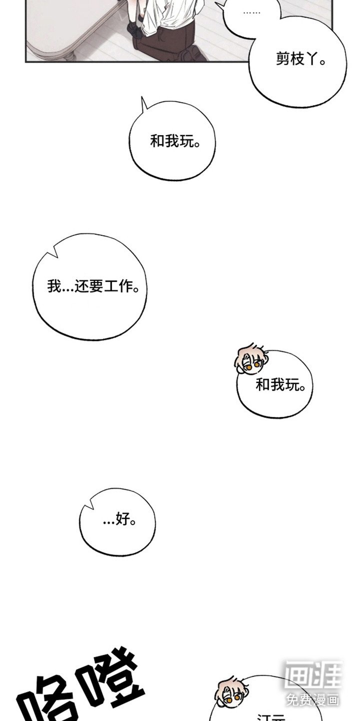 第3章：生日礼物