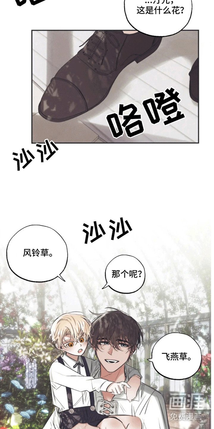 第3章：生日礼物
