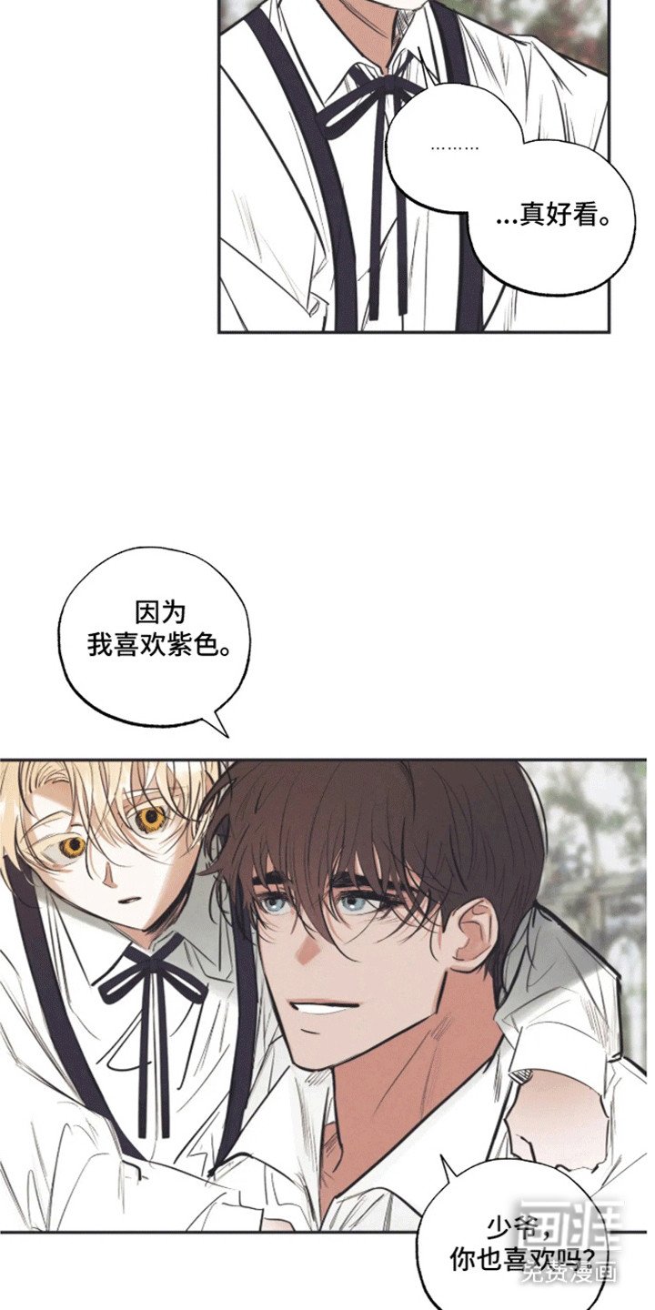 第3章：生日礼物