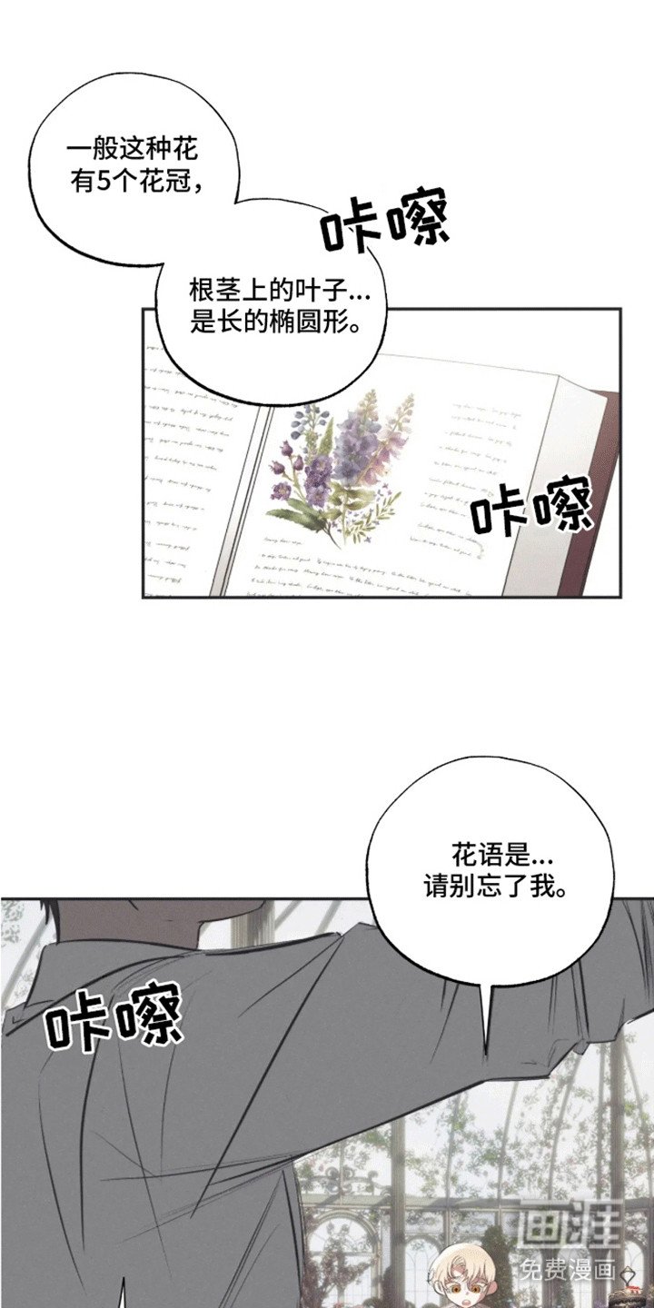 第3章：生日礼物