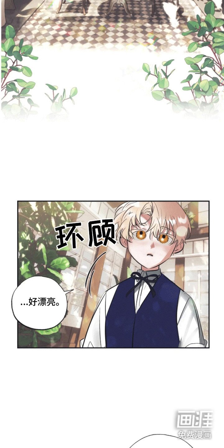 第3章：生日礼物
