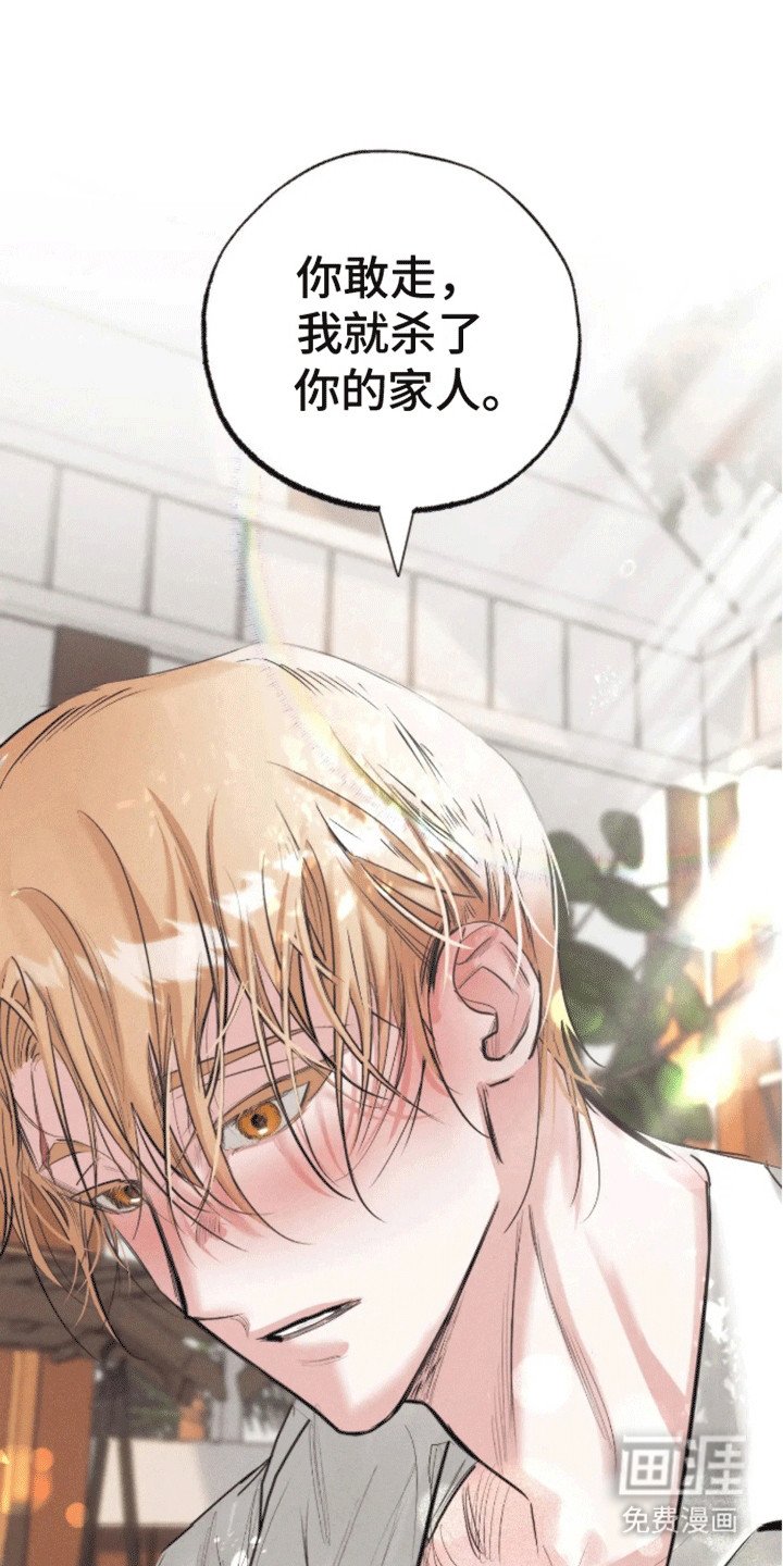 第5章：受伤