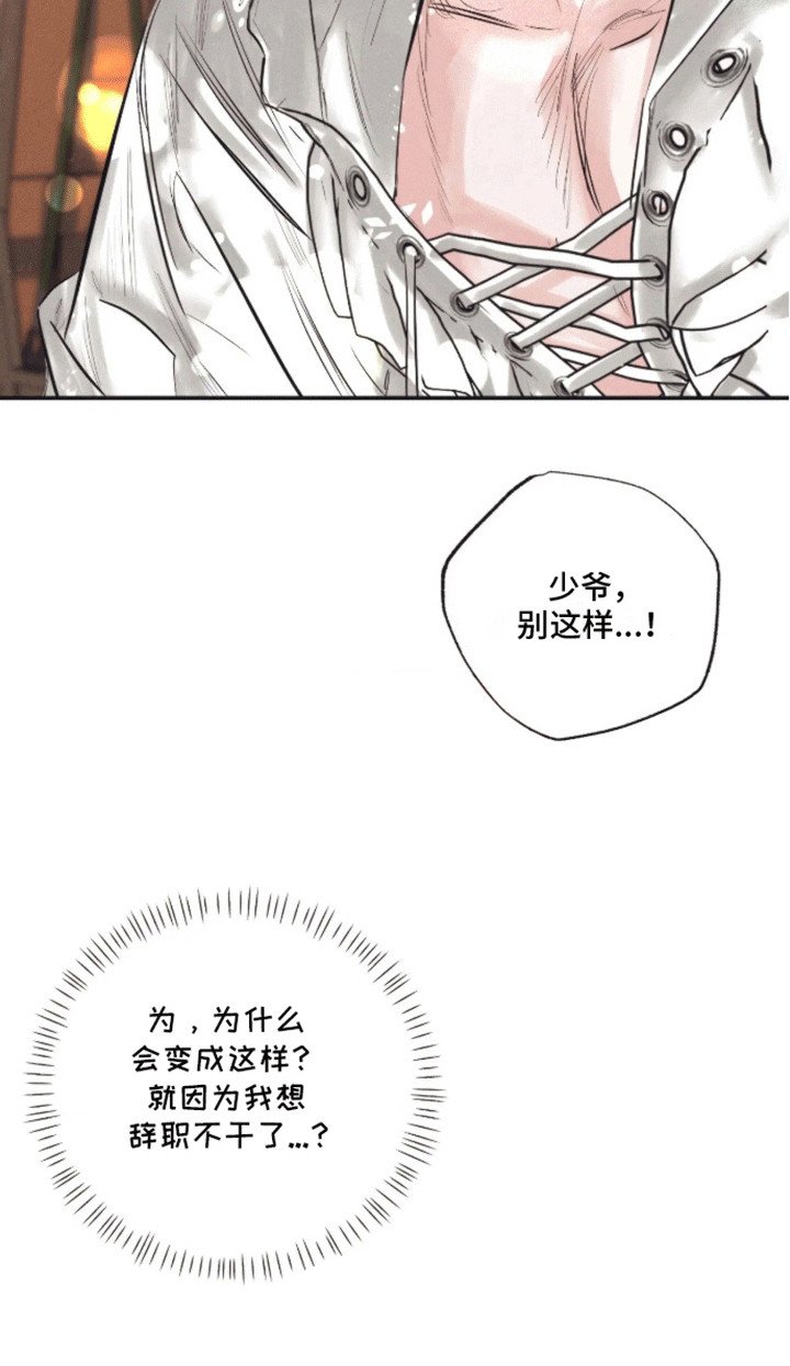 第5章：受伤