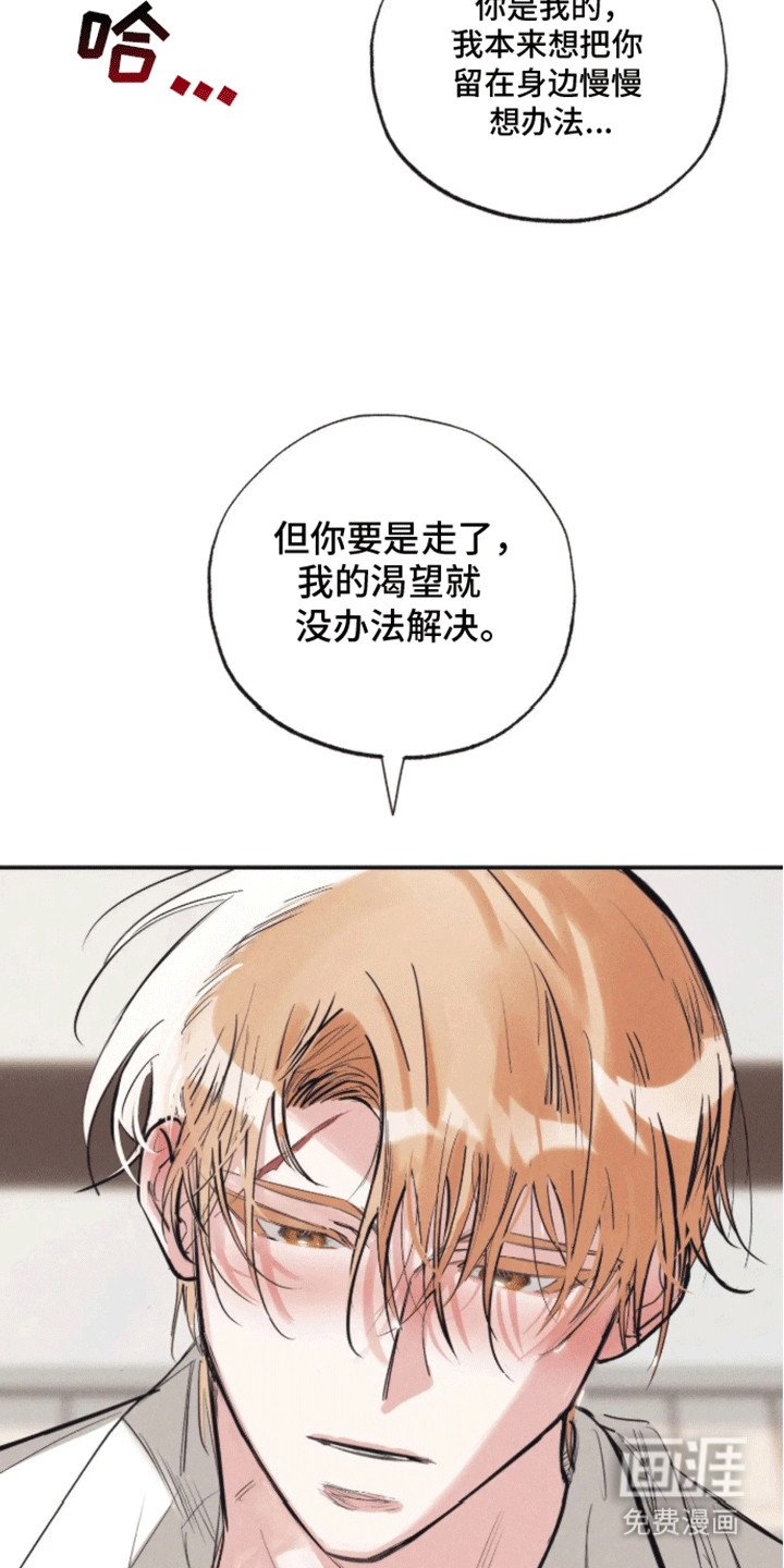 第5章：受伤