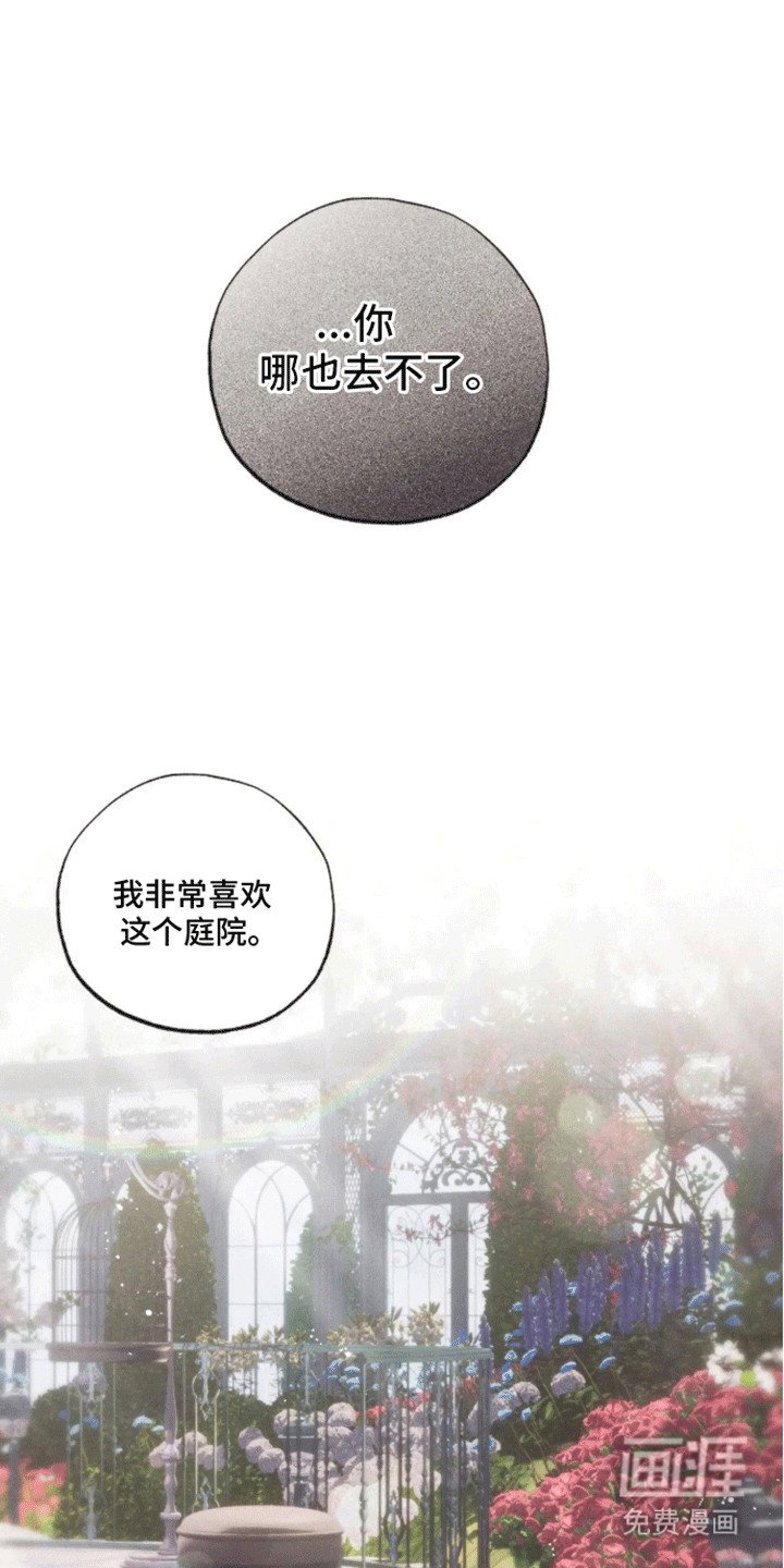 第5章：受伤