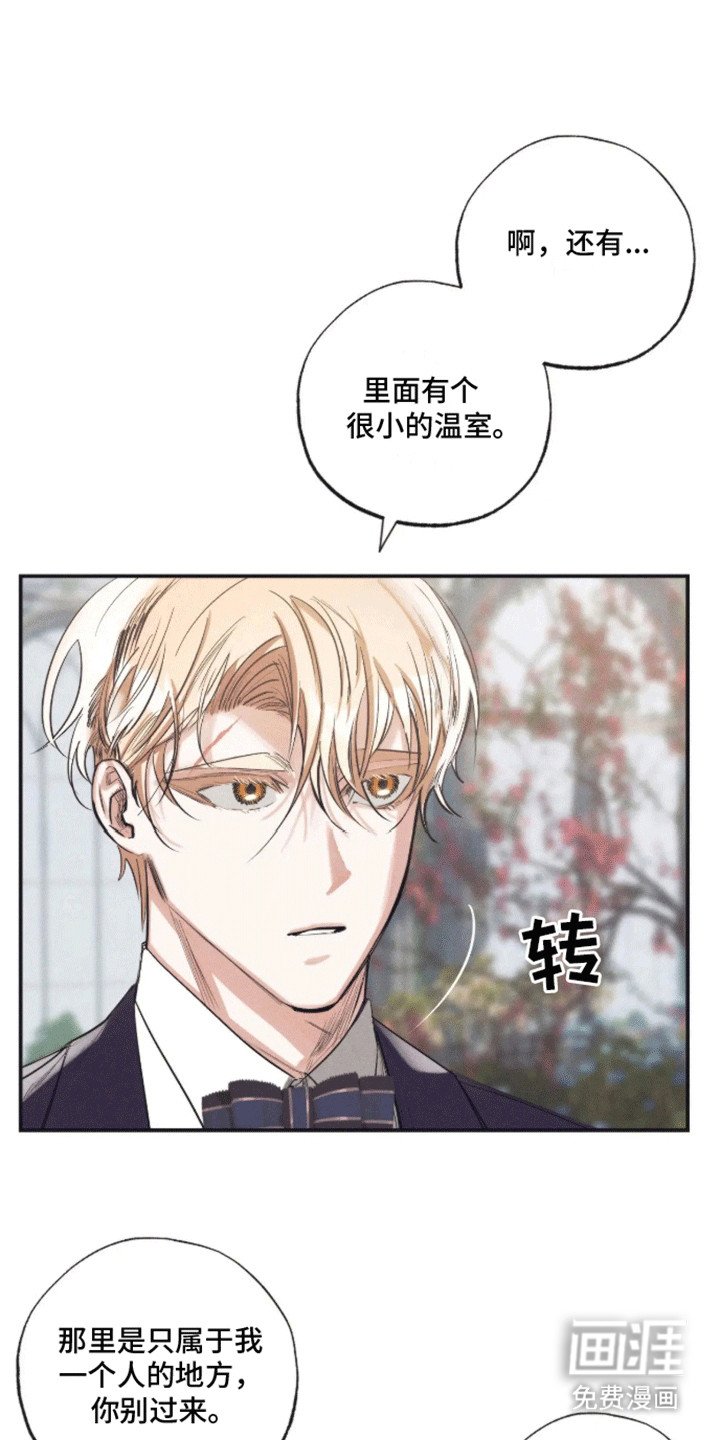 第5章：受伤