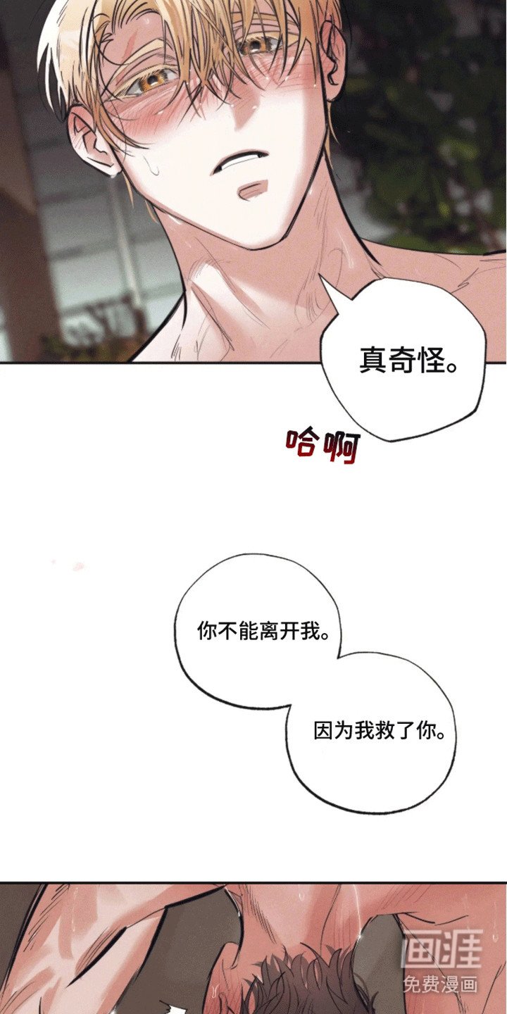第5章：受伤
