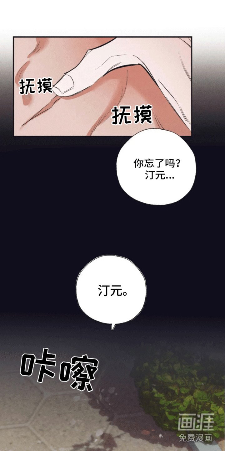 第5章：受伤