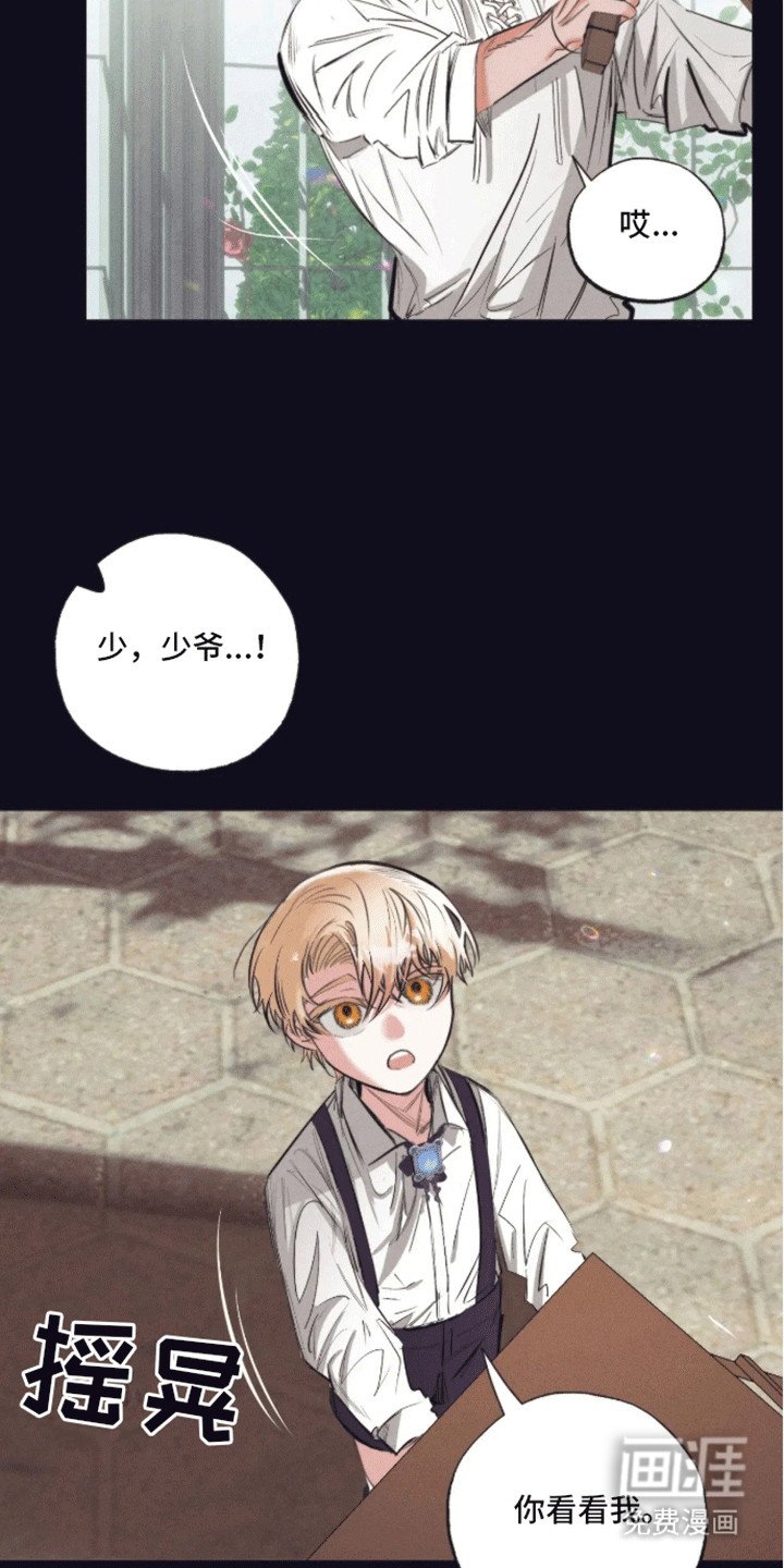 第5章：受伤