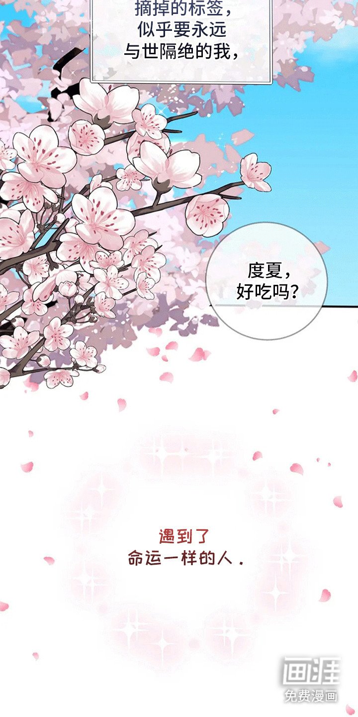 第1章：爱上NPC