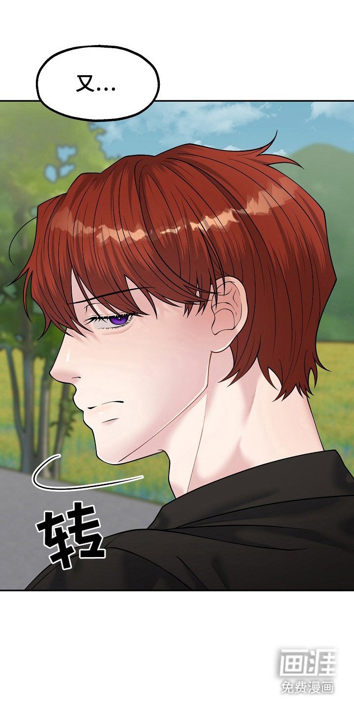 第13章：乡村奇遇：真心的