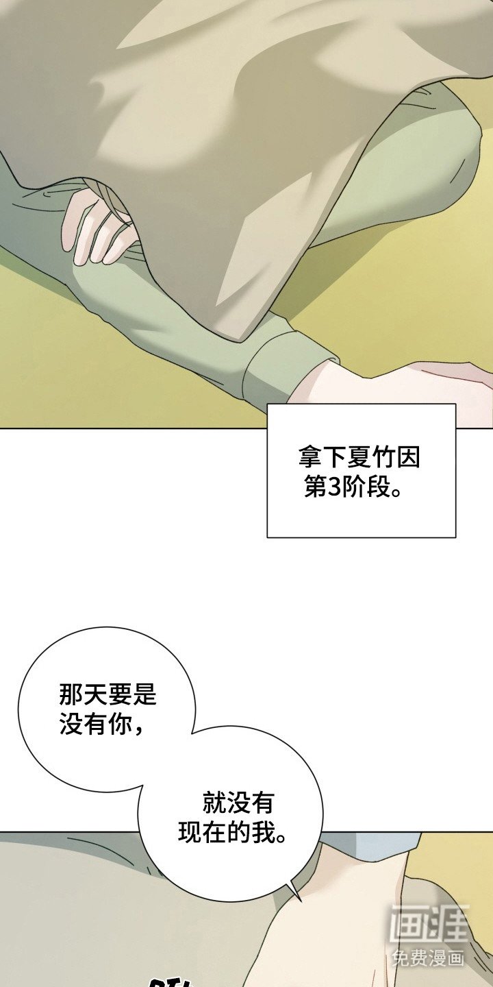第19章：电竞选手：三个阶段