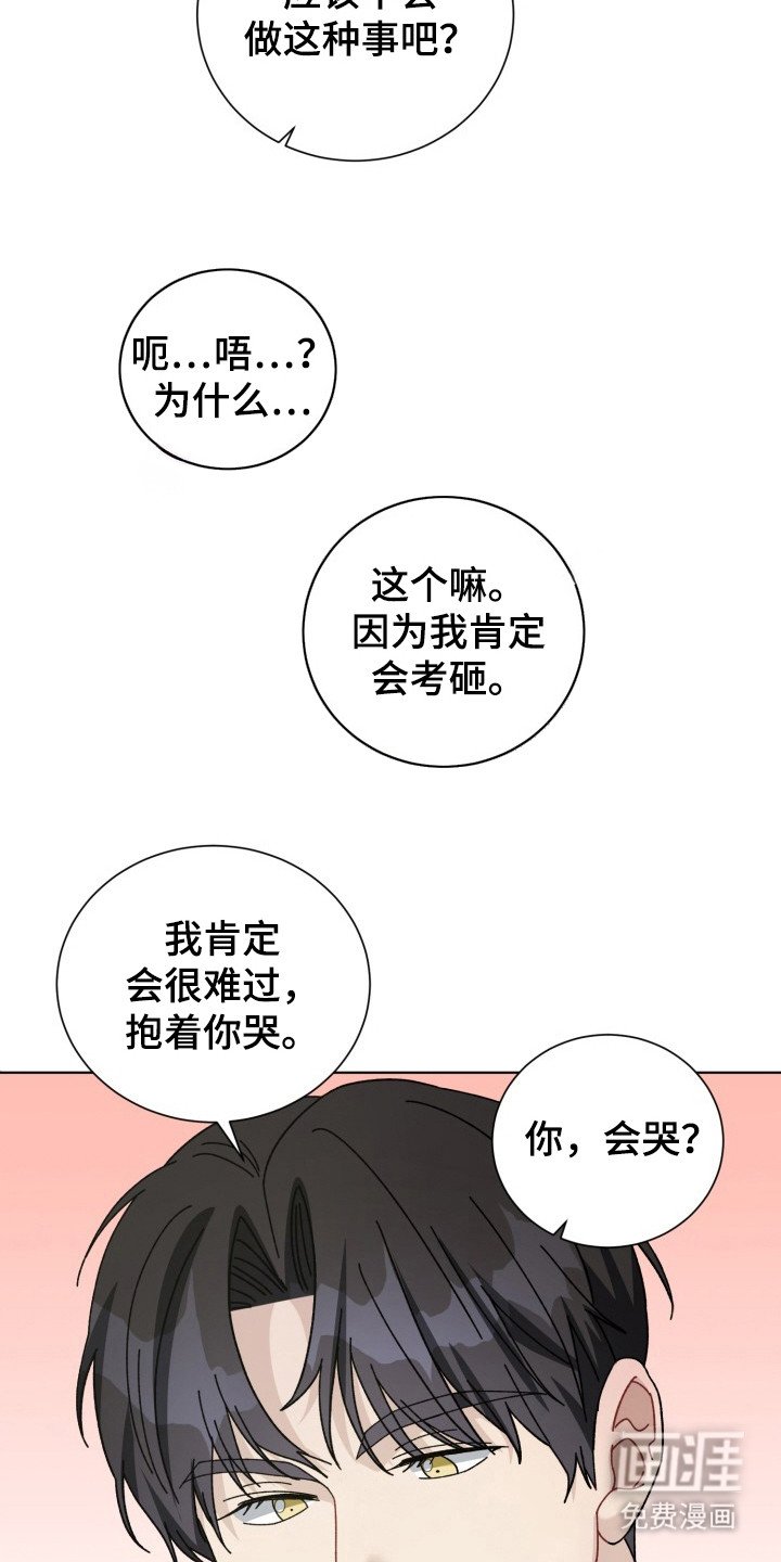 第19章：电竞选手：三个阶段