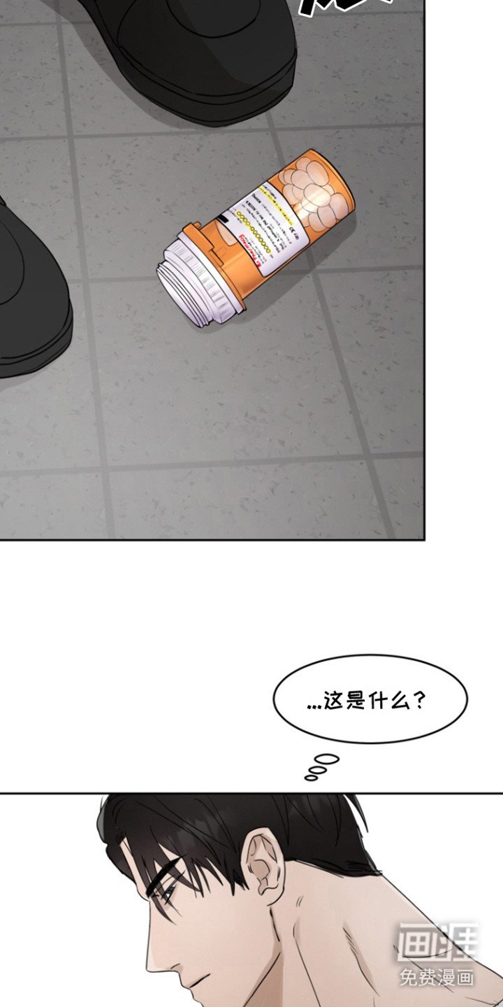 第31章：甜腻信息素：好闻的味道