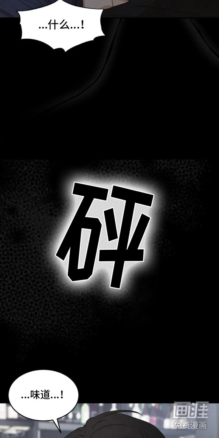 第35章：甜腻信息素：低气压