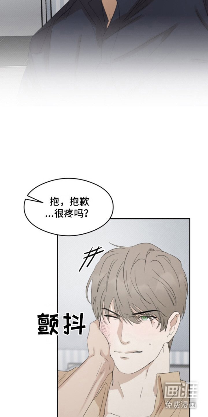 第37章： 甜腻信息素：真的喜欢（完）