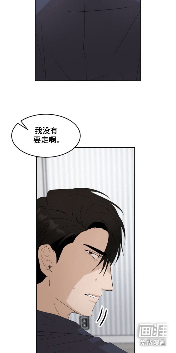 第37章： 甜腻信息素：真的喜欢（完）