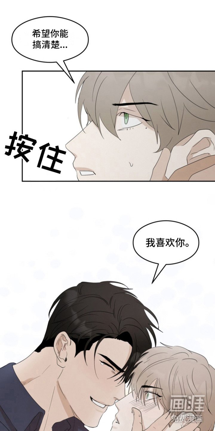 第37章： 甜腻信息素：真的喜欢（完）