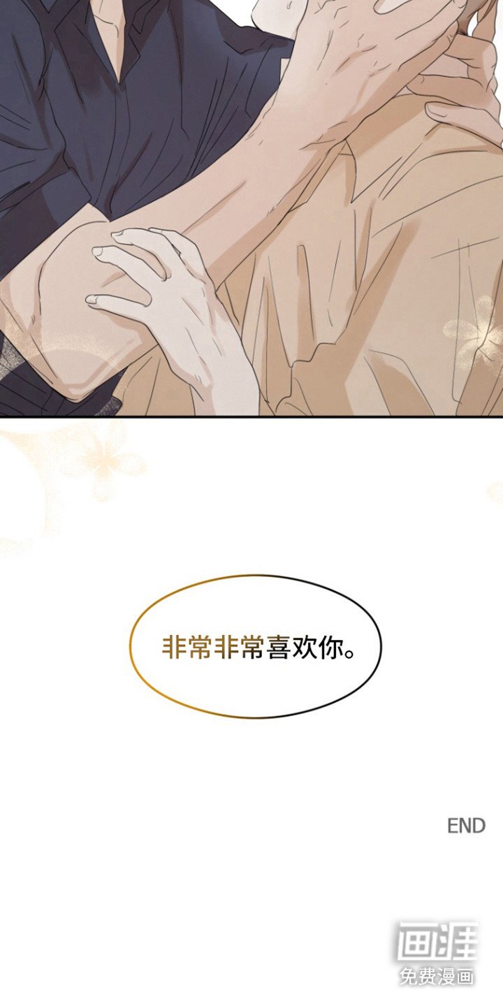 第37章： 甜腻信息素：真的喜欢（完）