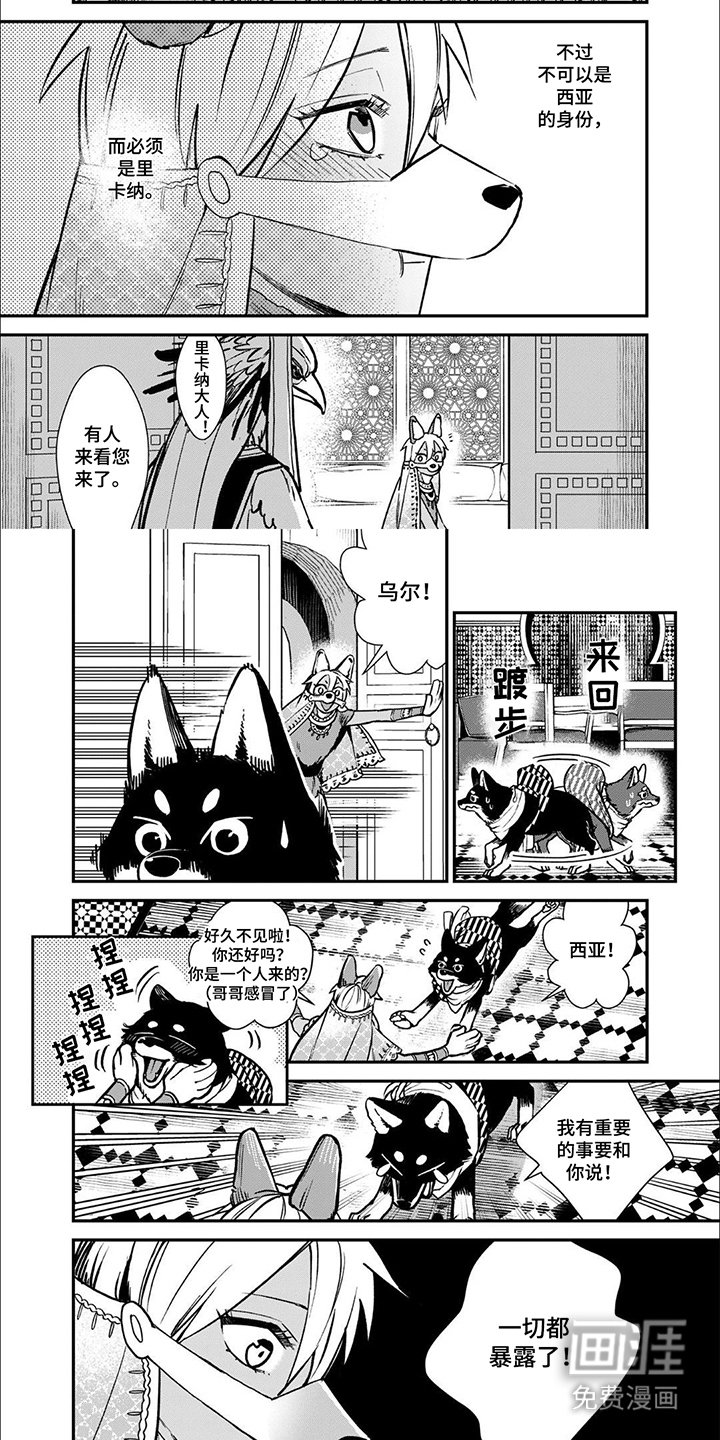 第12章：暴露了