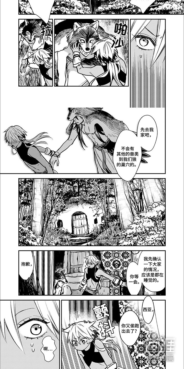 第2章：本质区别