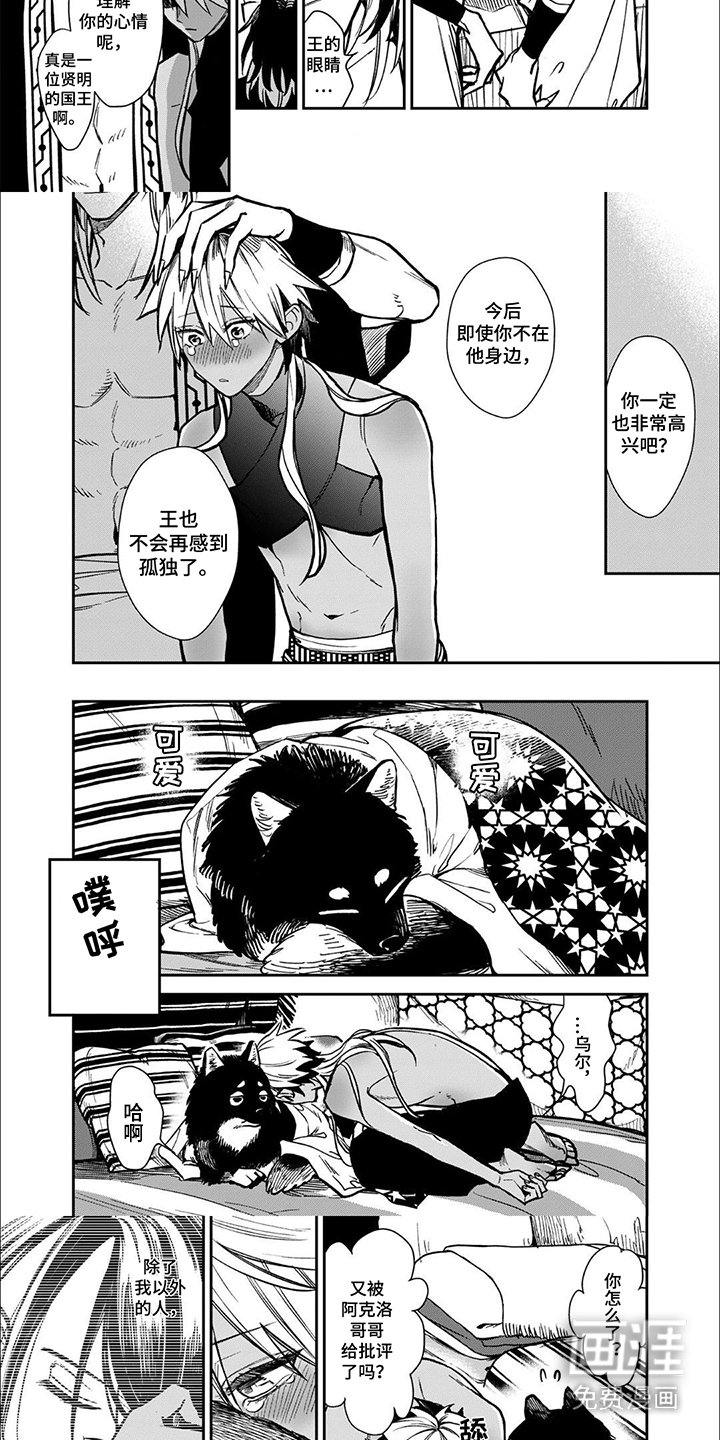 第3章：条件
