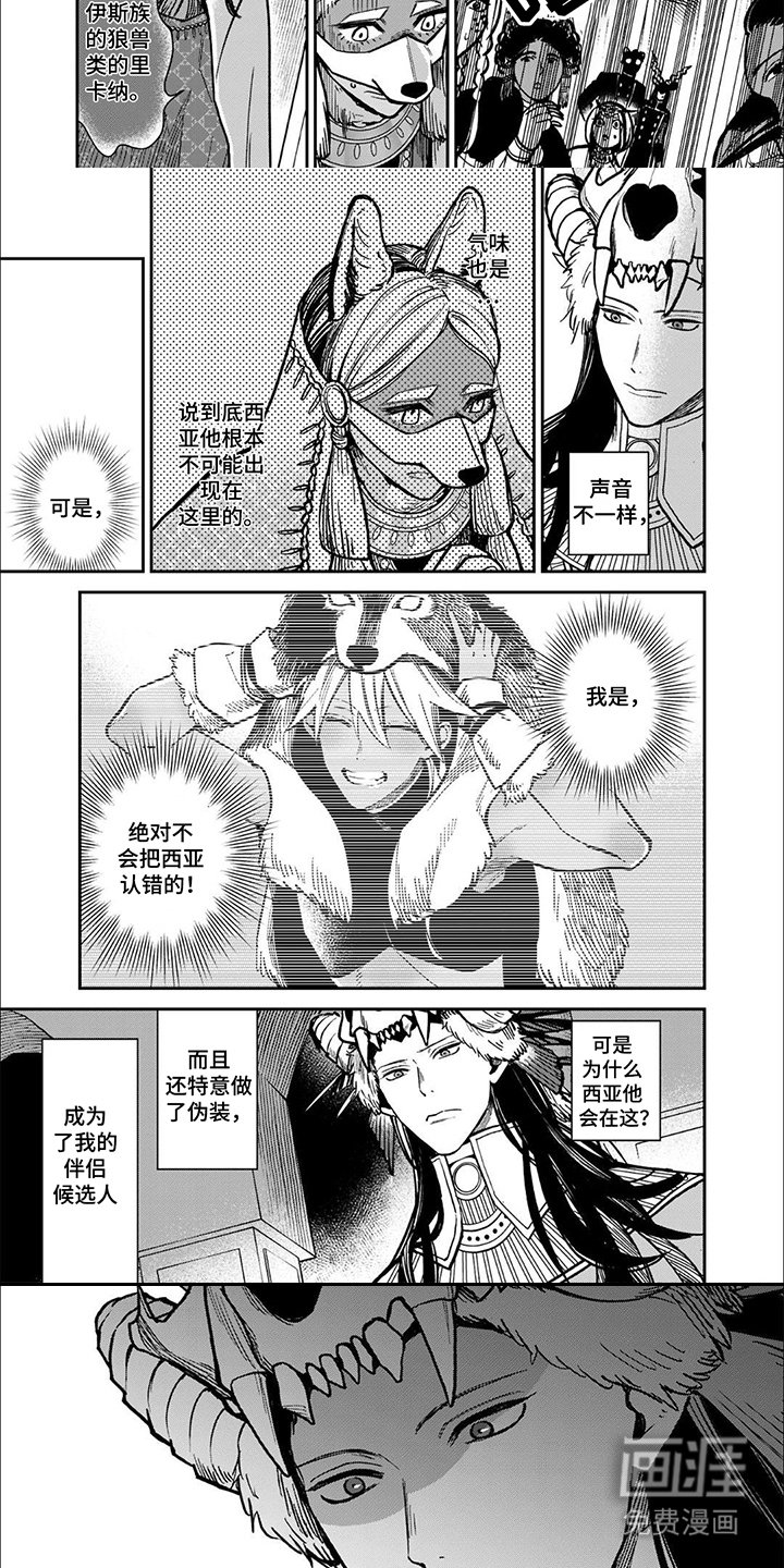 第4章：候选人