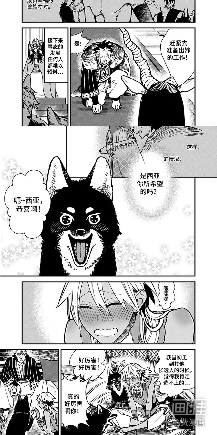 第5章：被选中