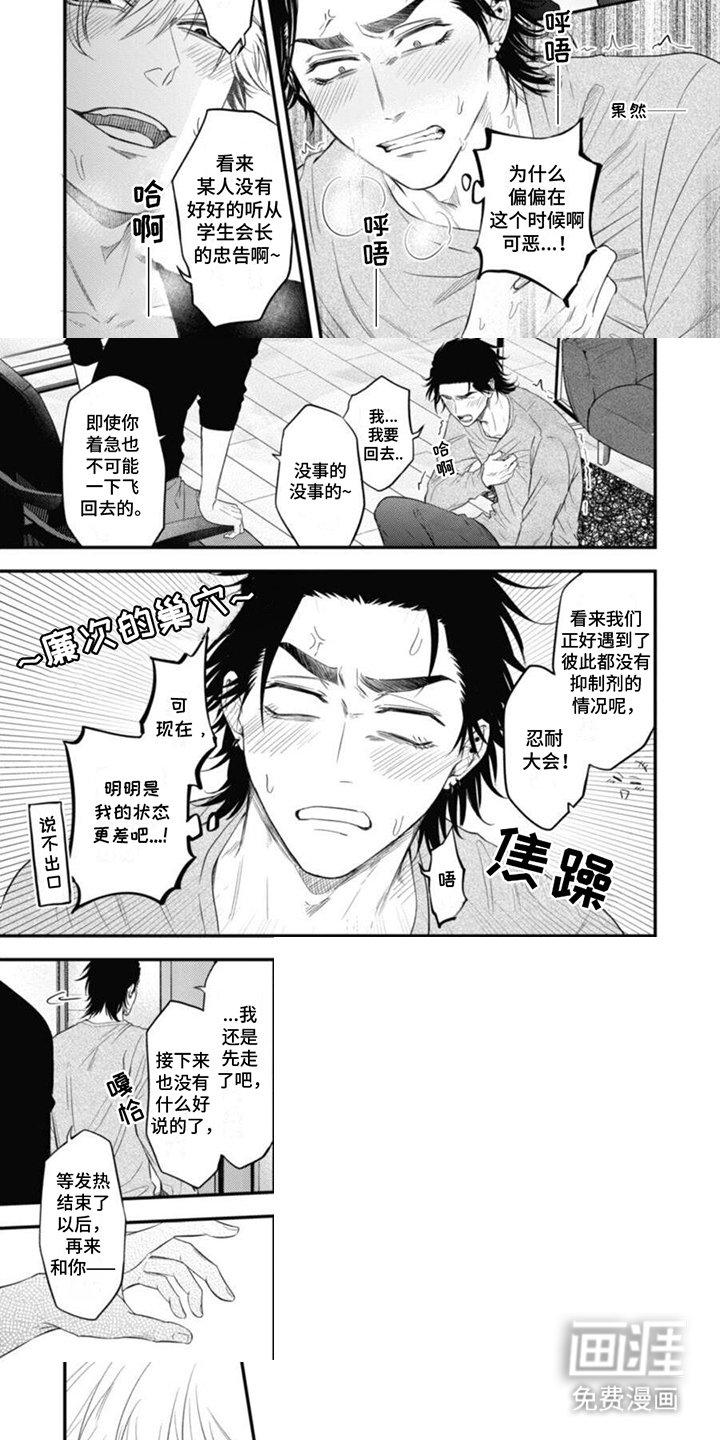 第13章：解释