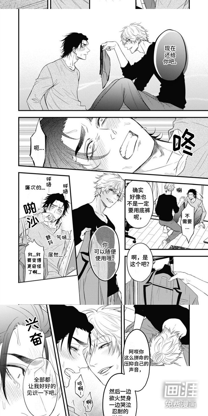 第13章：解释