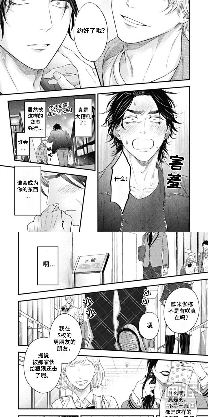第16章：约定