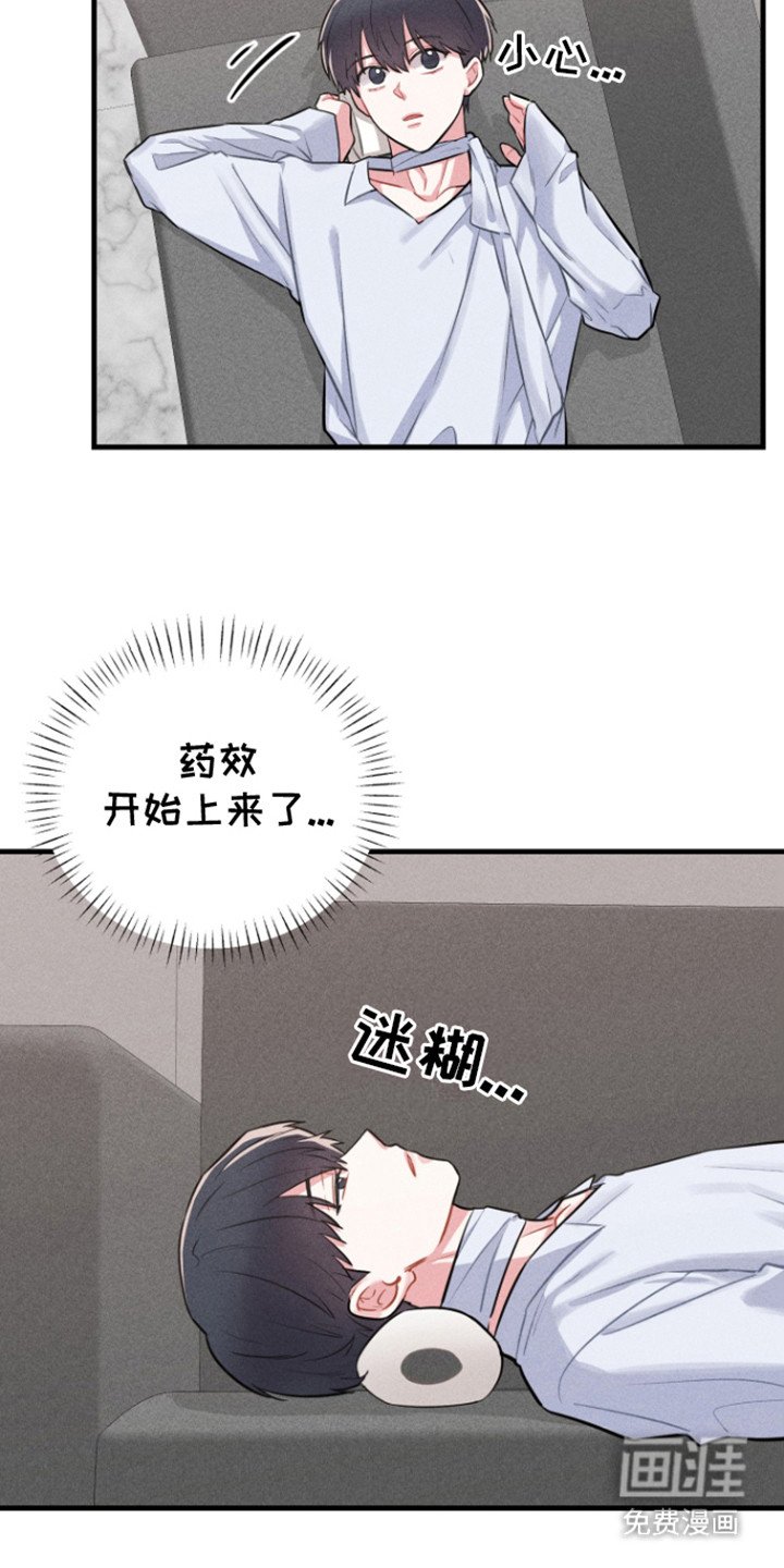第9章：粉丝反响