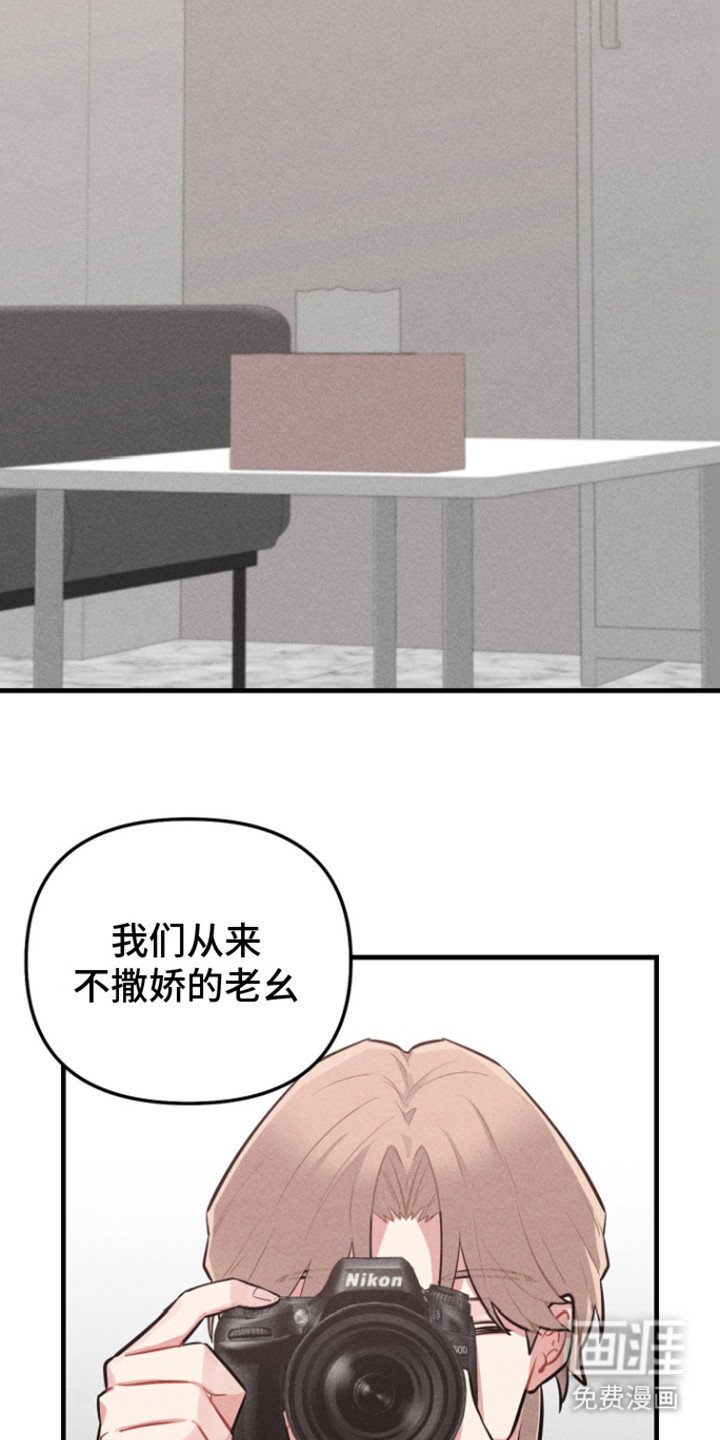 第9章：粉丝反响