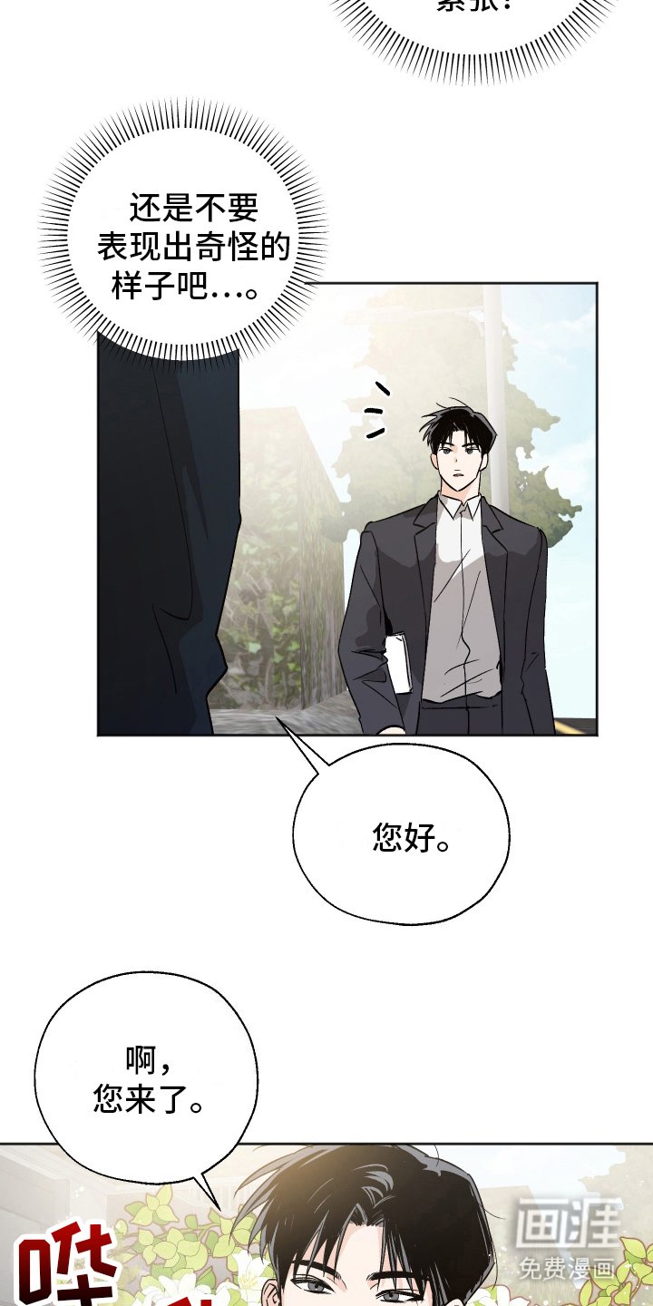 第3章：再次见面