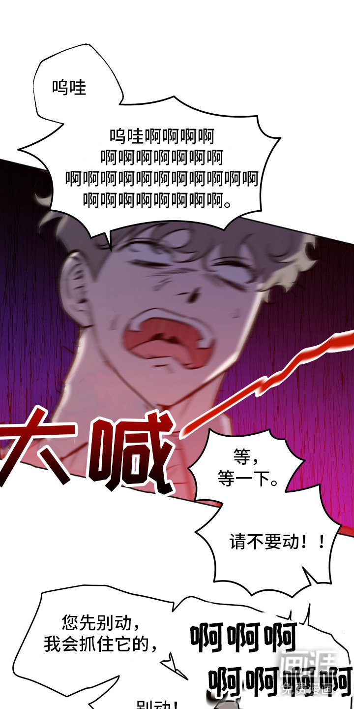第4章：拒绝