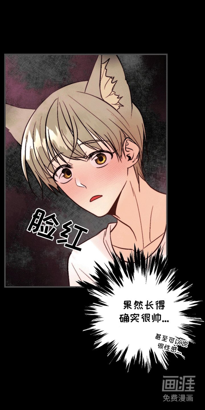 第11章：又勇又怂