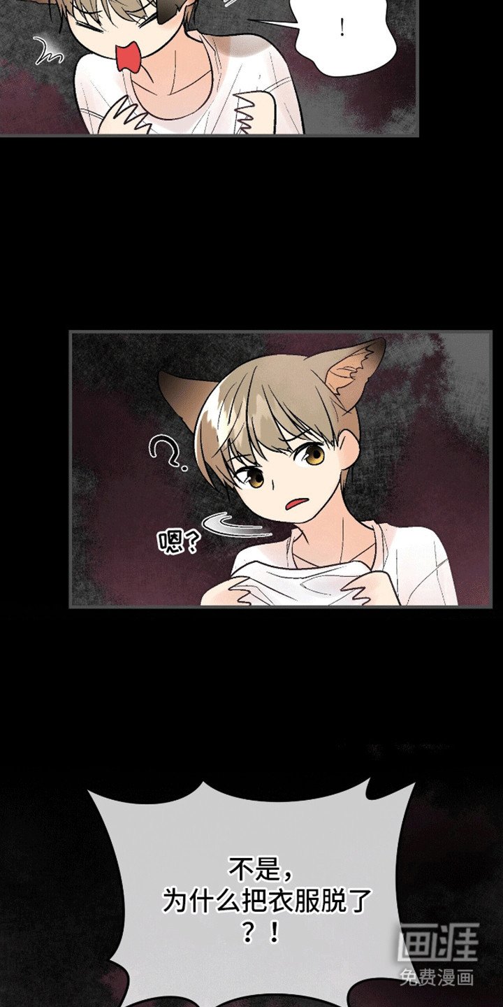第11章：又勇又怂