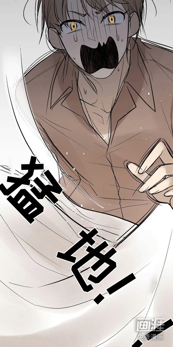 第11章：又勇又怂