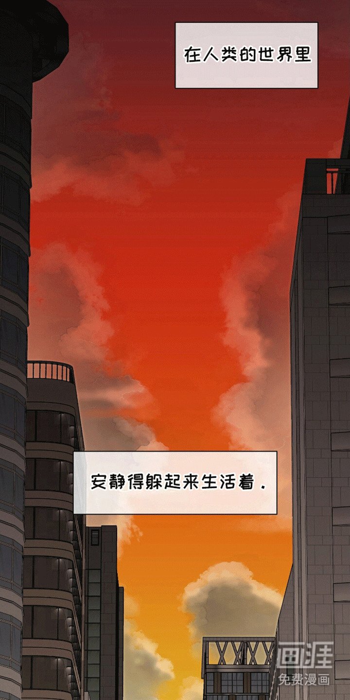 第12章：梦境