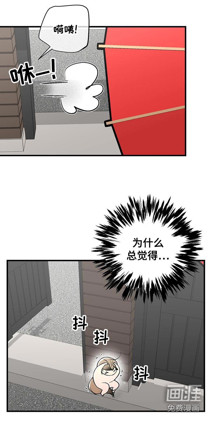第17章：找上门